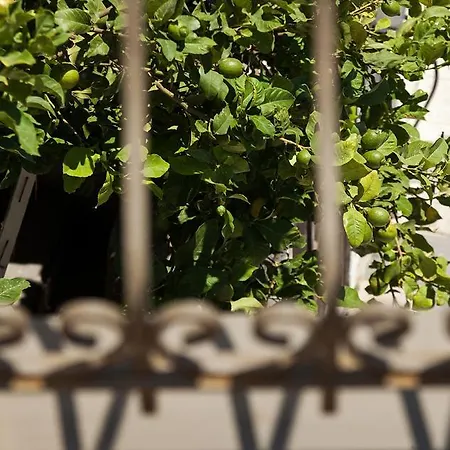 Pensjonat Casa Mespilea 3*