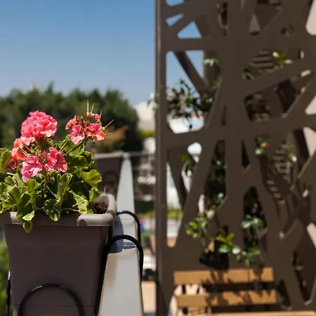 Casa Mespilea Pensjonat Pafos