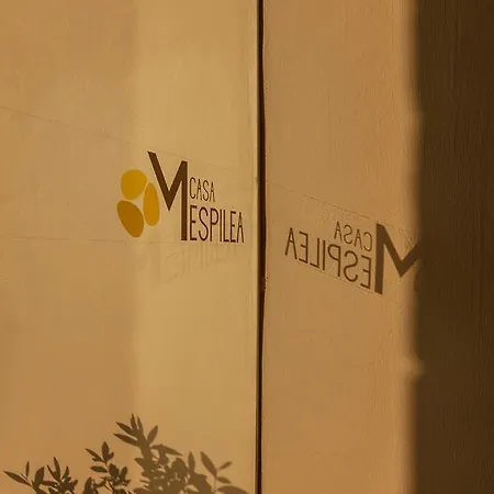 Casa Mespilea