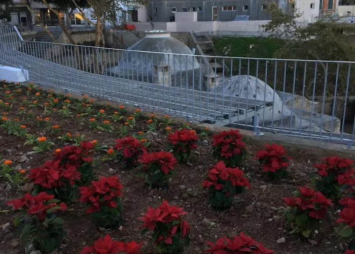 Casa Mespilea Pensión Paphos