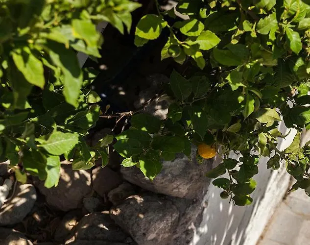 Penzion Casa Mespilea