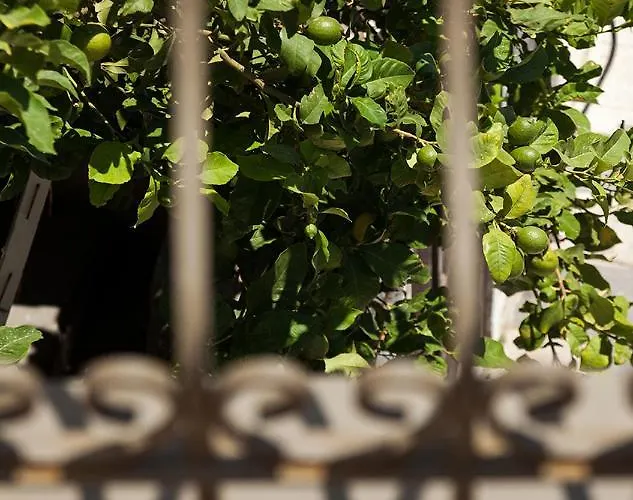 Penzion Casa Mespilea 3*