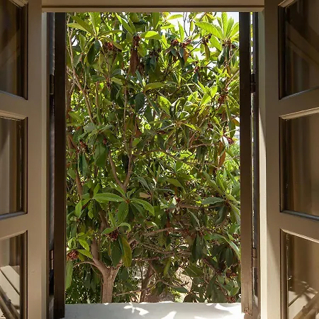 Casa Mespilea 3* Πάφος