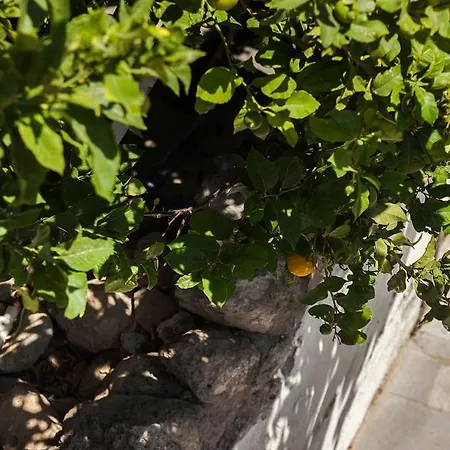 Πανσιόν Casa Mespilea