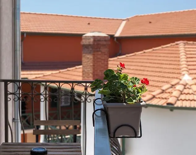 Casa Mespilea Пафос