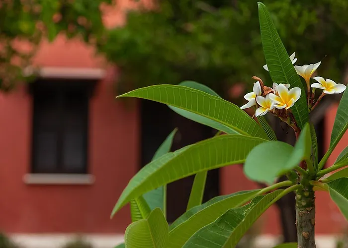 Гостевой дом Casa Mespilea 3*